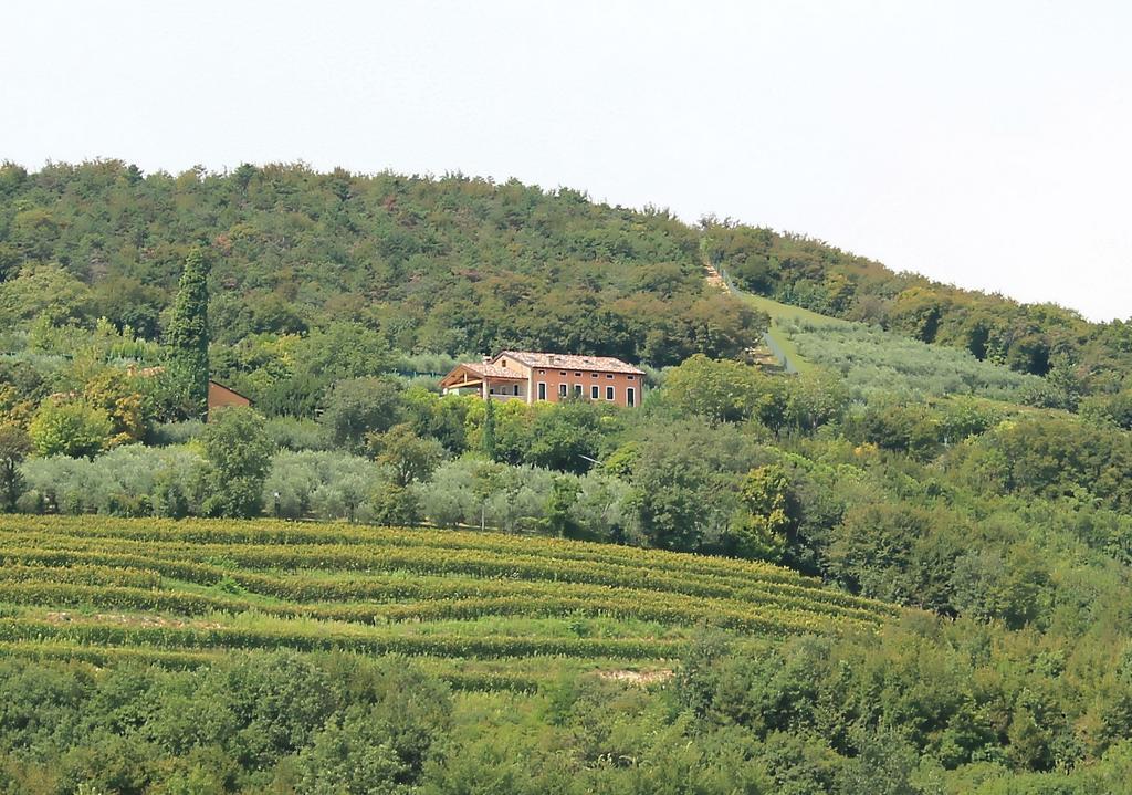 Ca' Dei Coci B&B San Martino Buon Albergo Kültér fotó