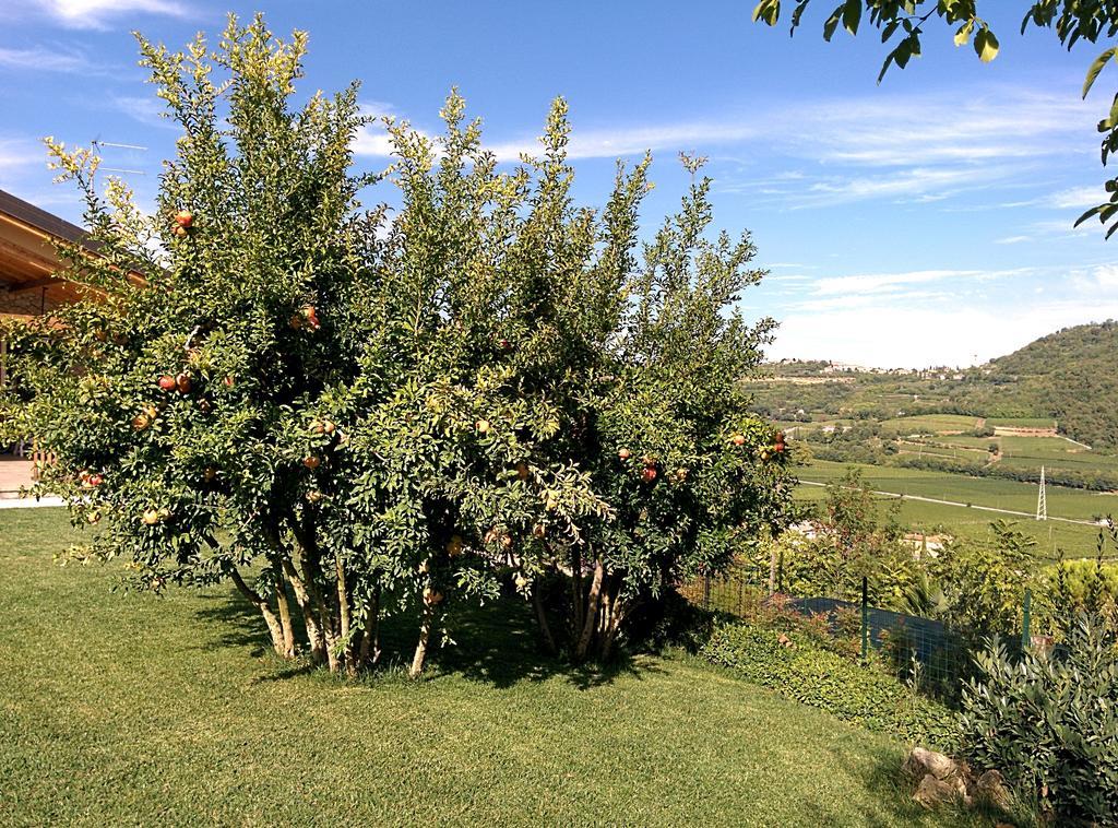 Ca' Dei Coci B&B San Martino Buon Albergo Kültér fotó